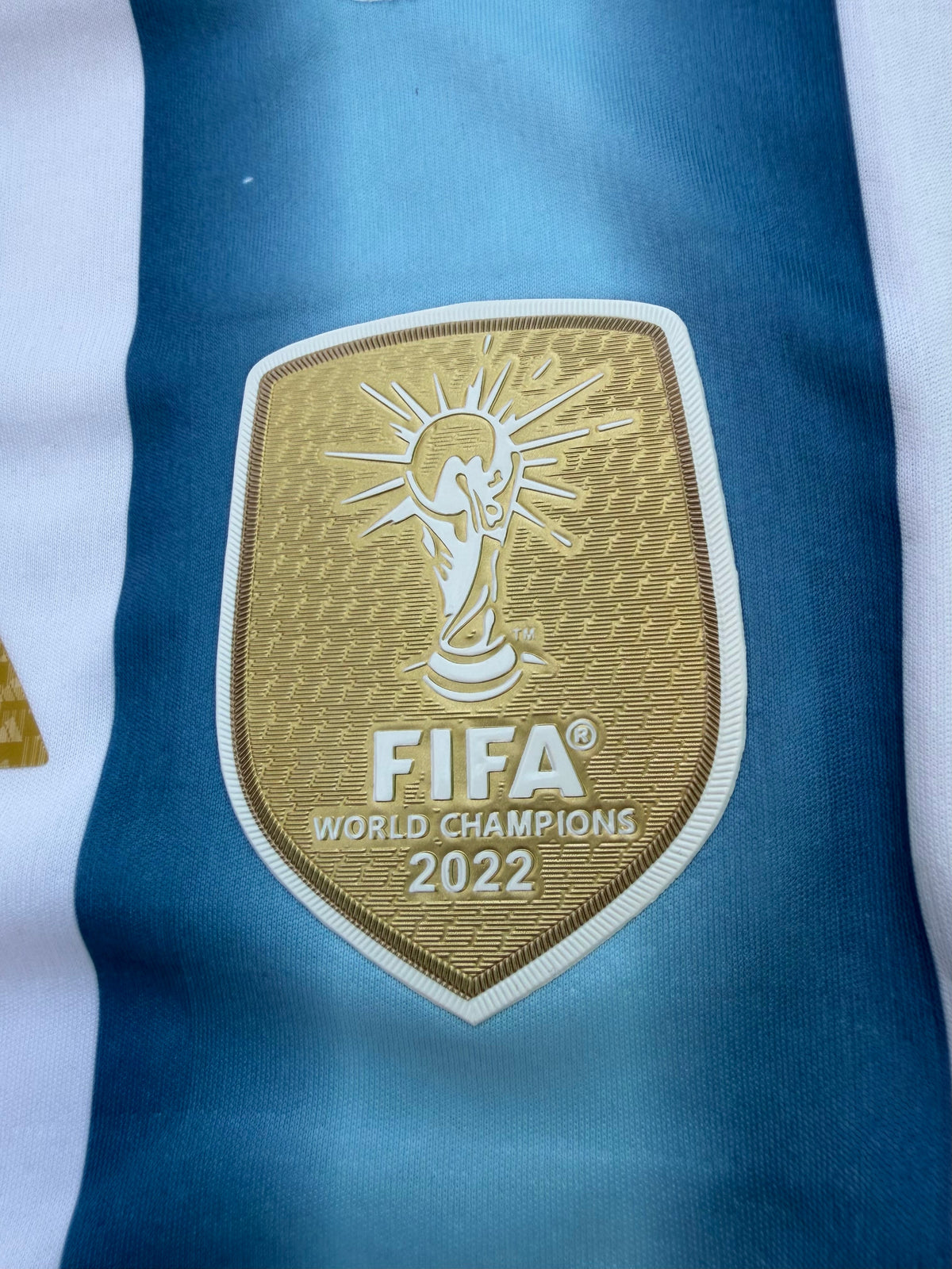 Argentina 26 WC Home Kit Full Sleeves ( TPU ) — view 9