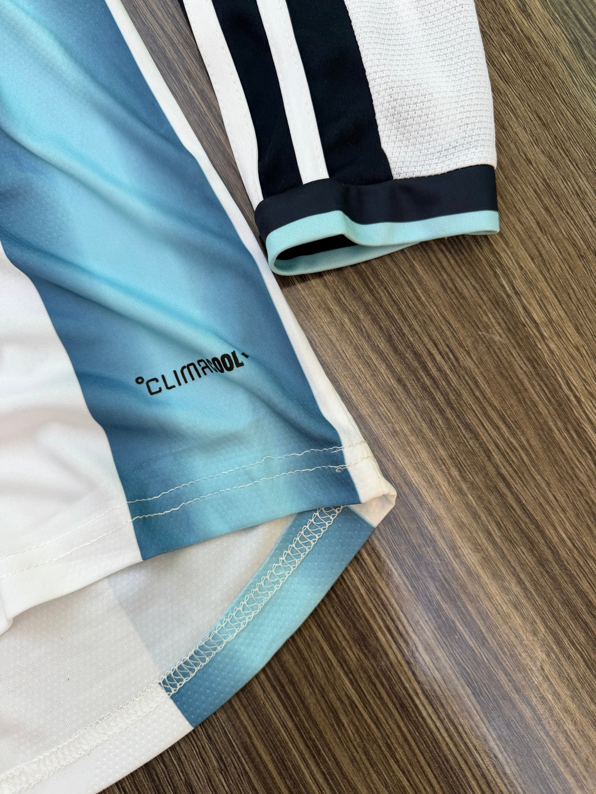 Argentina 26 WC Home Kit Full Sleeves ( TPU ) — view 6