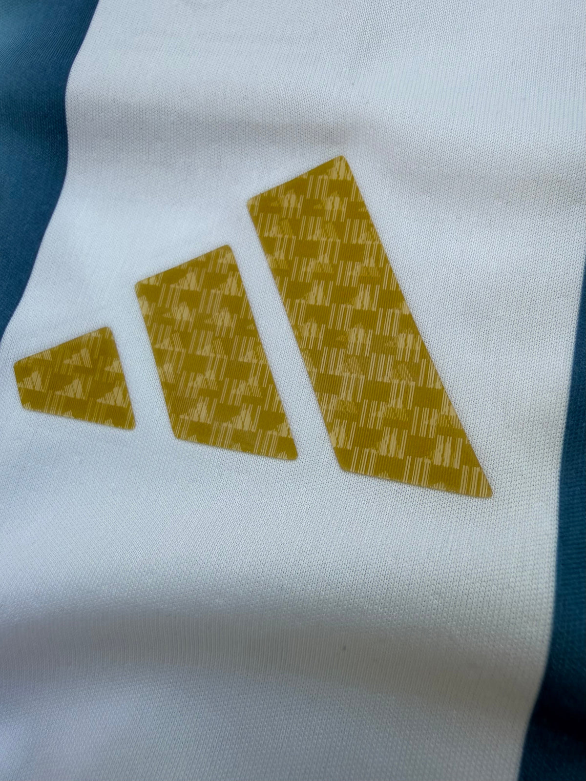Argentina 26 WC Home Kit ( TPU ) — view 5