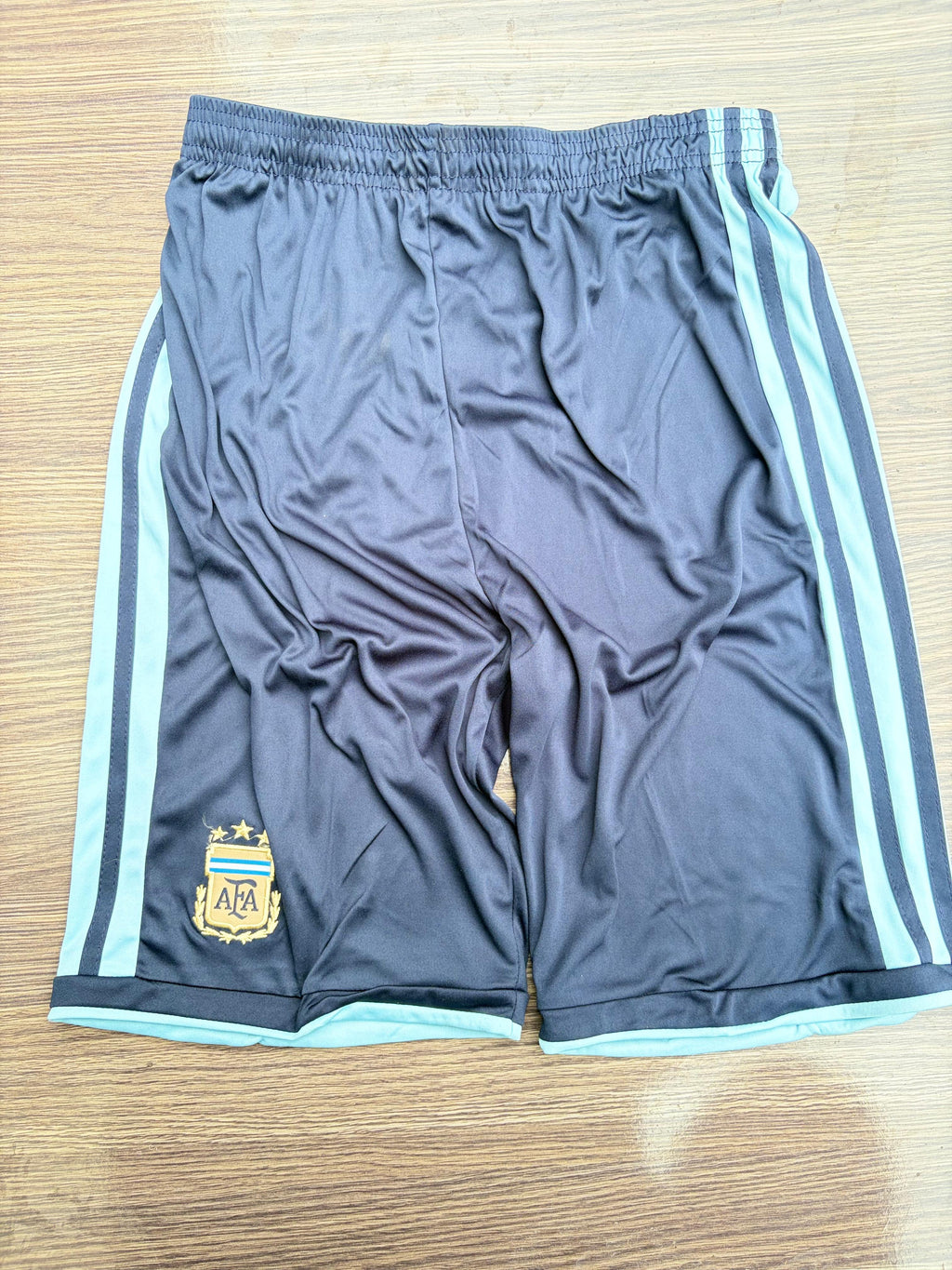 Argentina 26 WC Home Kit Full Sleeves ( TPU ) — view 13