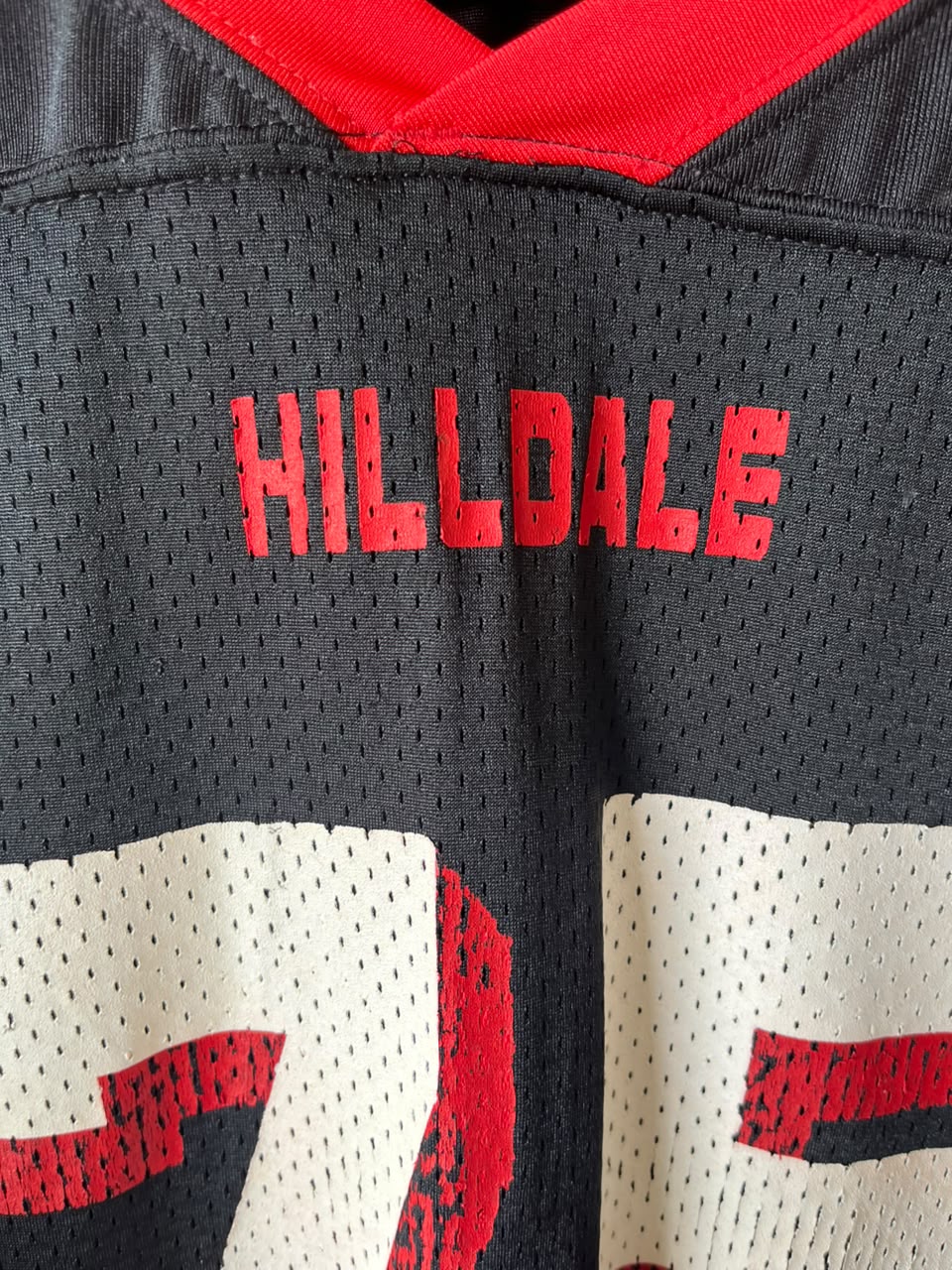 Hilldale 75 Jersey |Vintage Oversized Streetwear | Men Women |  Online Shopping